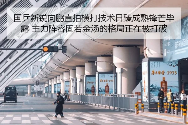 国乒新锐向鹏直拍横打技术日臻成熟锋芒毕露 主力阵容固若金汤的格局正在被打破