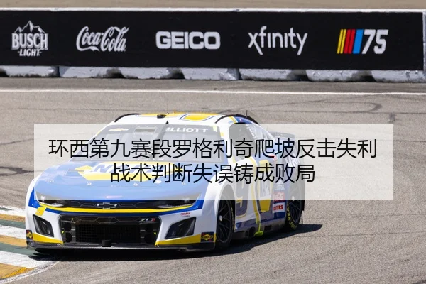 环西第九赛段罗格利奇爬坡反击失利 战术判断失误铸成败局