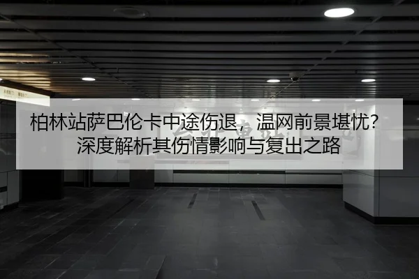 bo-lin-zhan-sa-ba-lun-ka-zhong-tu-shang-tui-wen-wang-qian-jing-kan-you-shen-du-jie-xi-qi-shang-qing-ying-xiang-yu-fu-2-332.jpg